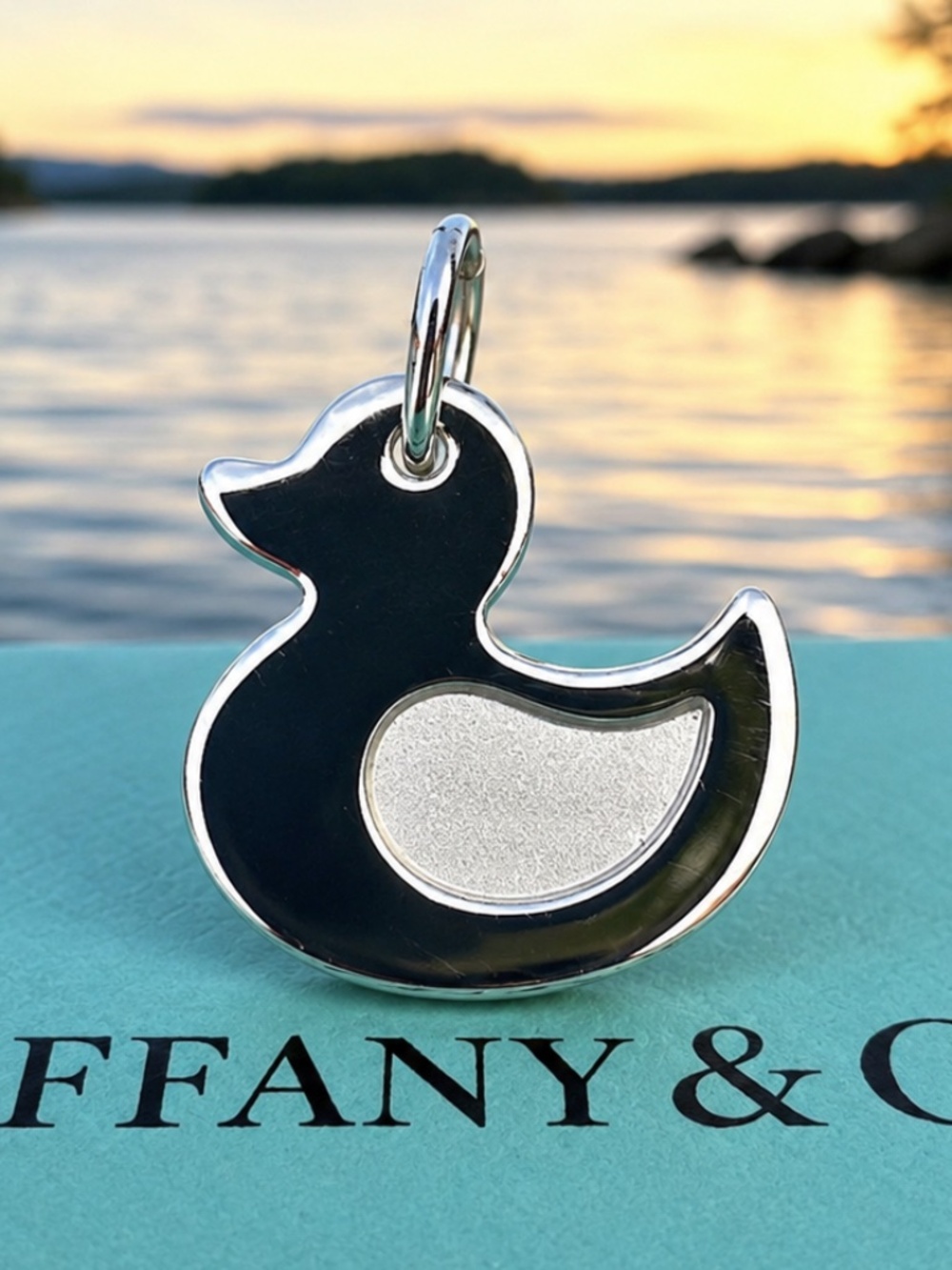 Tiffany & Co. Retired Lucky Duck Charm – Rare & Collectible 🦆💙